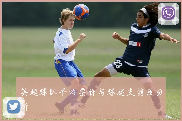 英超球队平均票价与球迷支持度分析