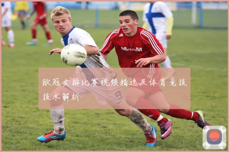 欧冠女排比赛视频精选及体育竞技技术解析