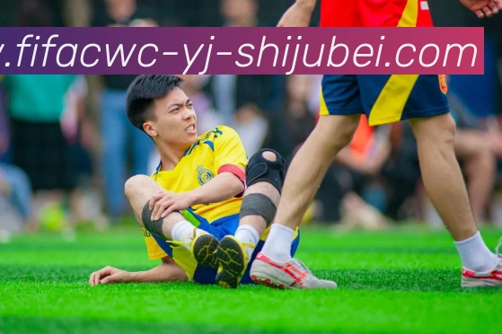 世界杯直播平台生态图