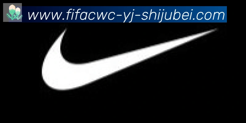 世界杯直播合作伙伴