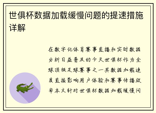 世俱杯数据加载缓慢问题的提速措施详解